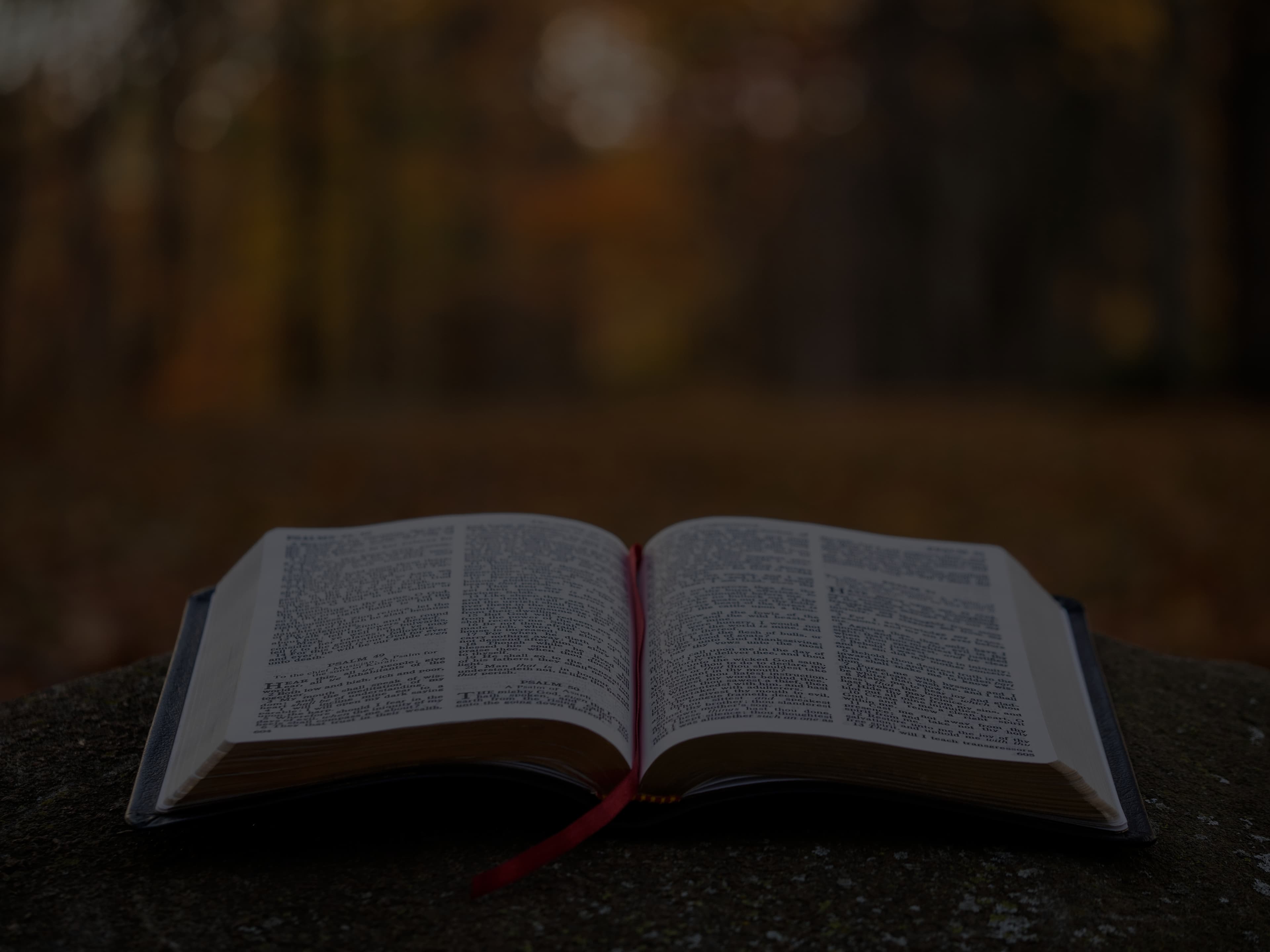Open bible